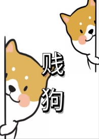 贱狗gb小说
