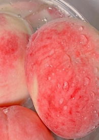 柏涛菲诺和葡萄牙怎么分辨